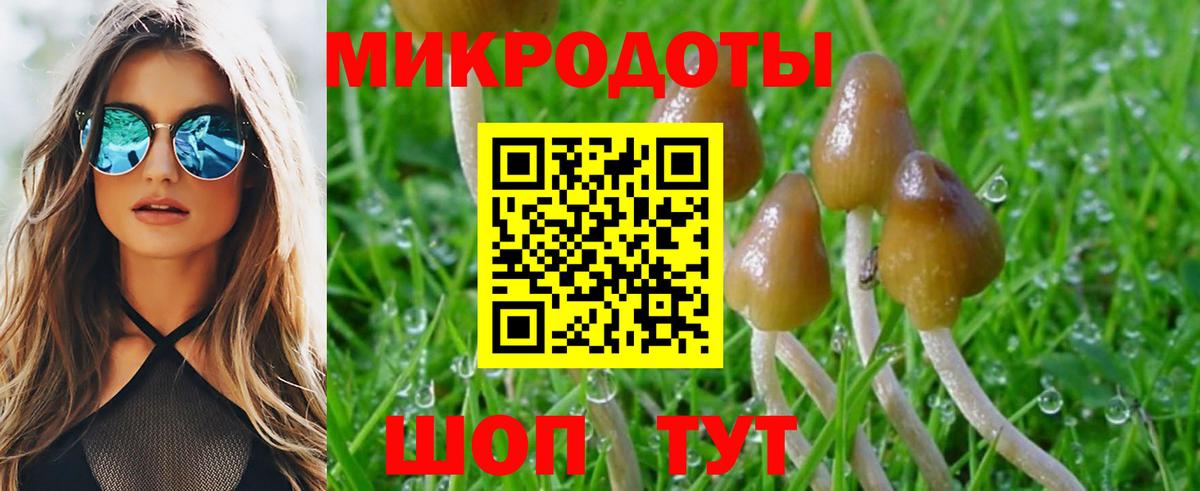 Псилоцибиновые грибы MAGIC MUSHROOMS Богданович