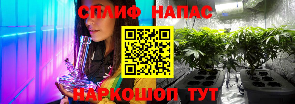 Каннабис Amnesia  Бошки марихуана план  Вход с VPN  Бошки Шишки SATIVA & INDICA  Богданович 